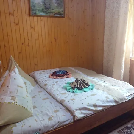 Guest house у бойка Tatariv